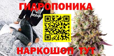МДПВ Владимир