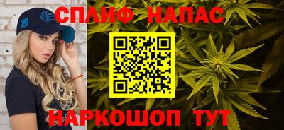 МДПВ Владимир
