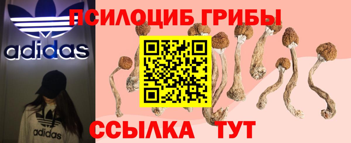 Псилоцибиновые грибы прущие грибы Грозный
