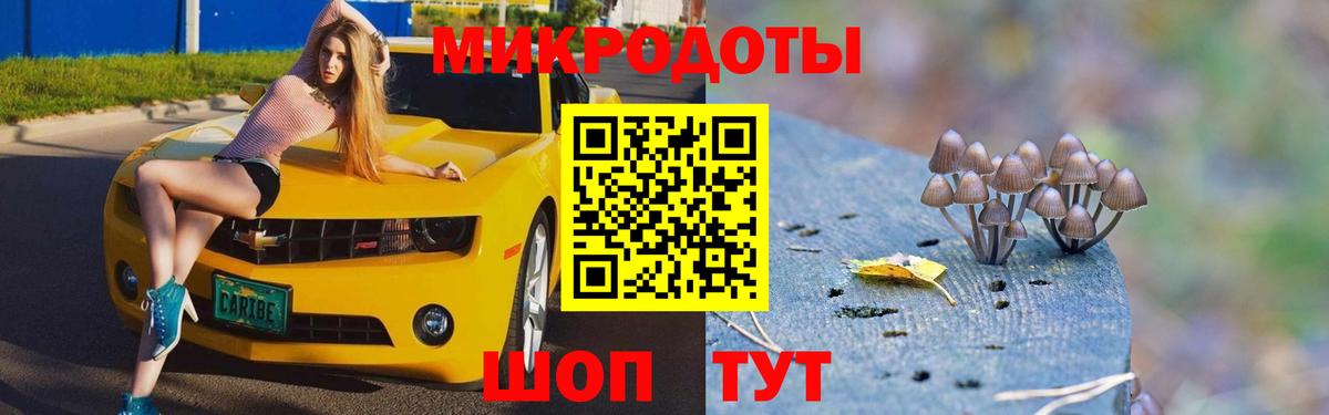 Псилоцибиновые грибы GOLDEN TEACHER  Галлюциногенные грибы Magic Shrooms  Грозный  Вход с VPN 